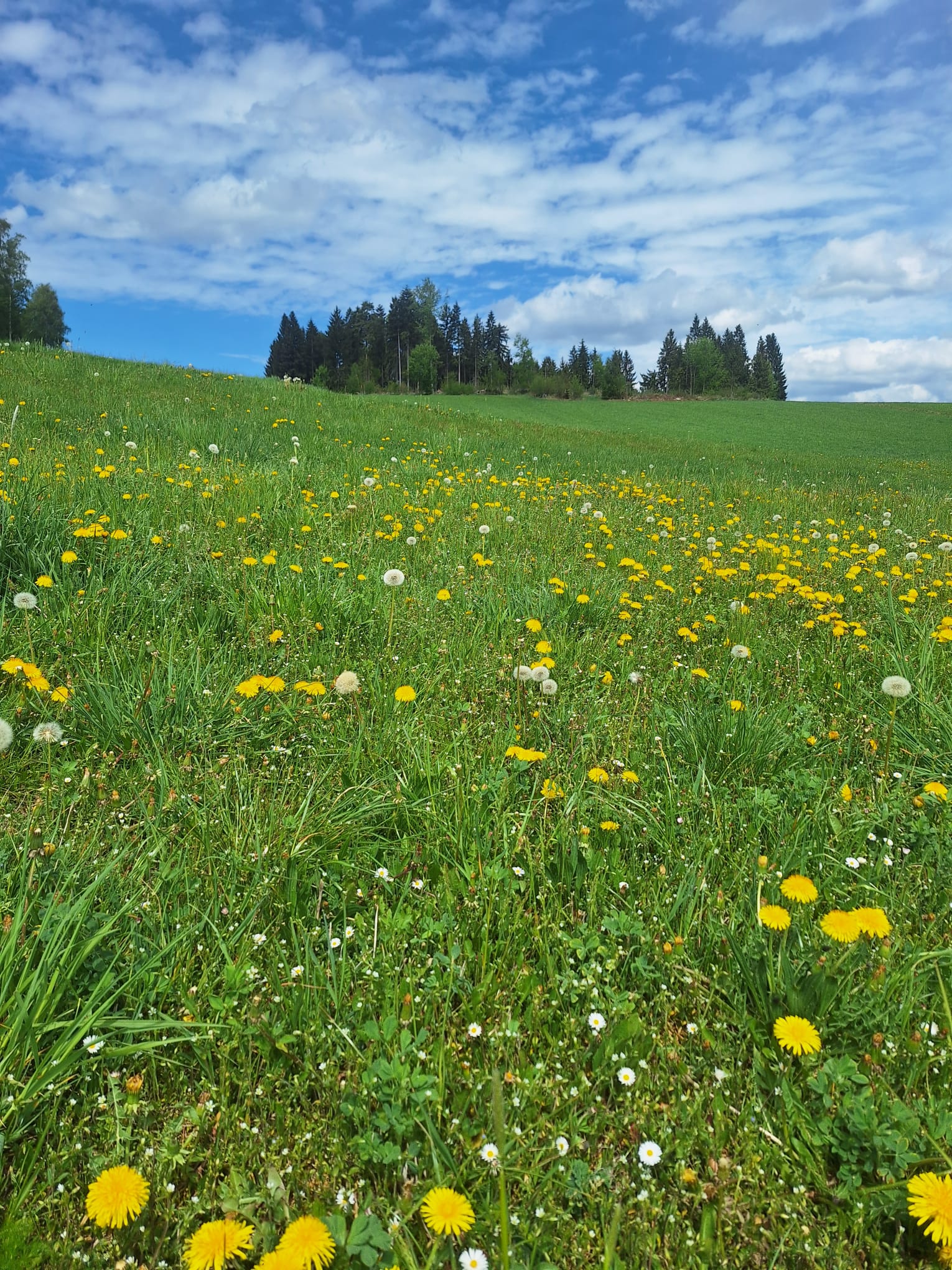 Trockenheit